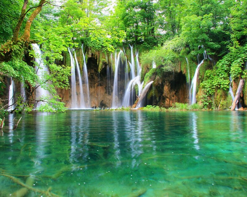Waterfalls in a lush forest
