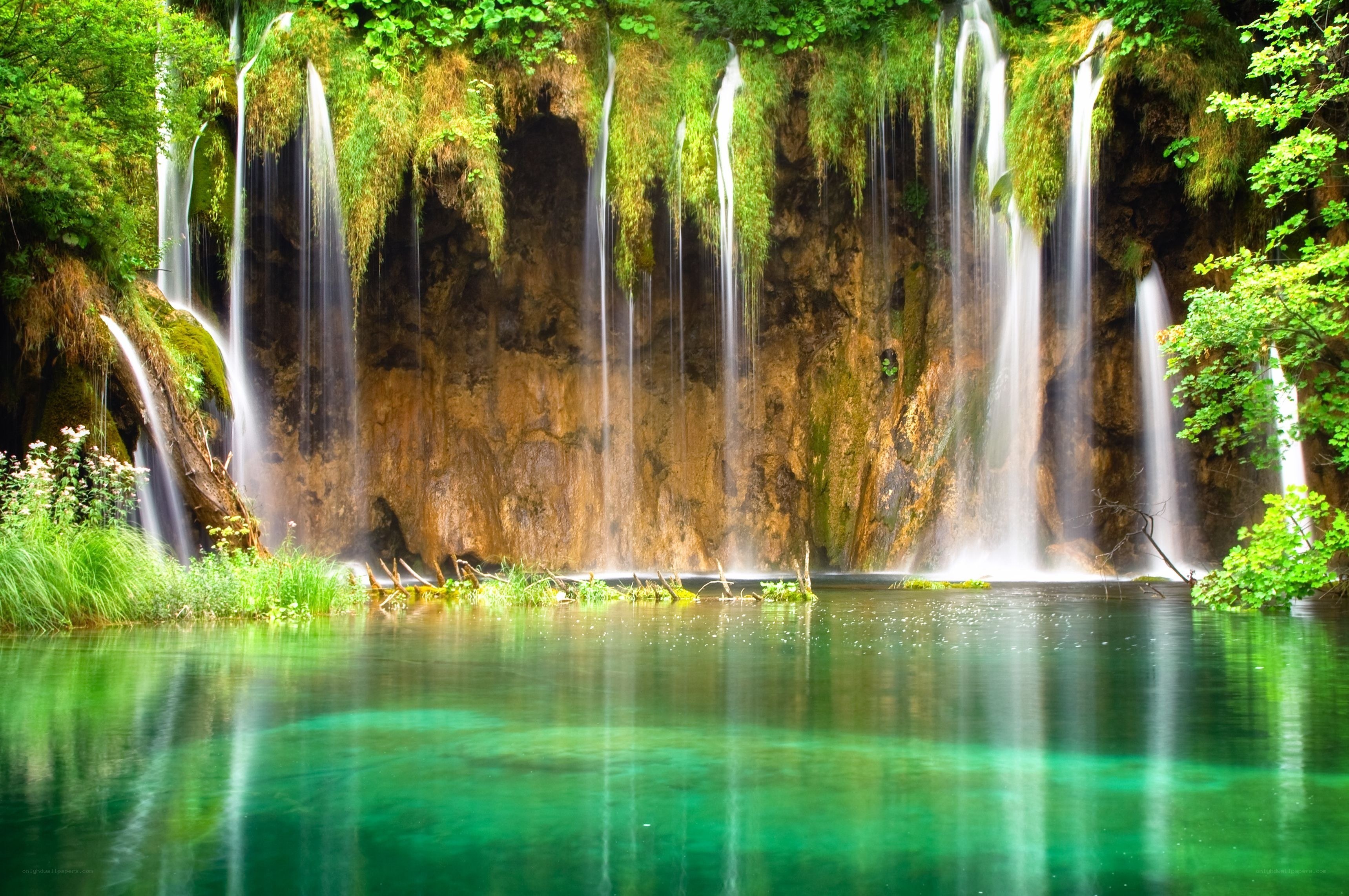 Waterfalls in a lush forest