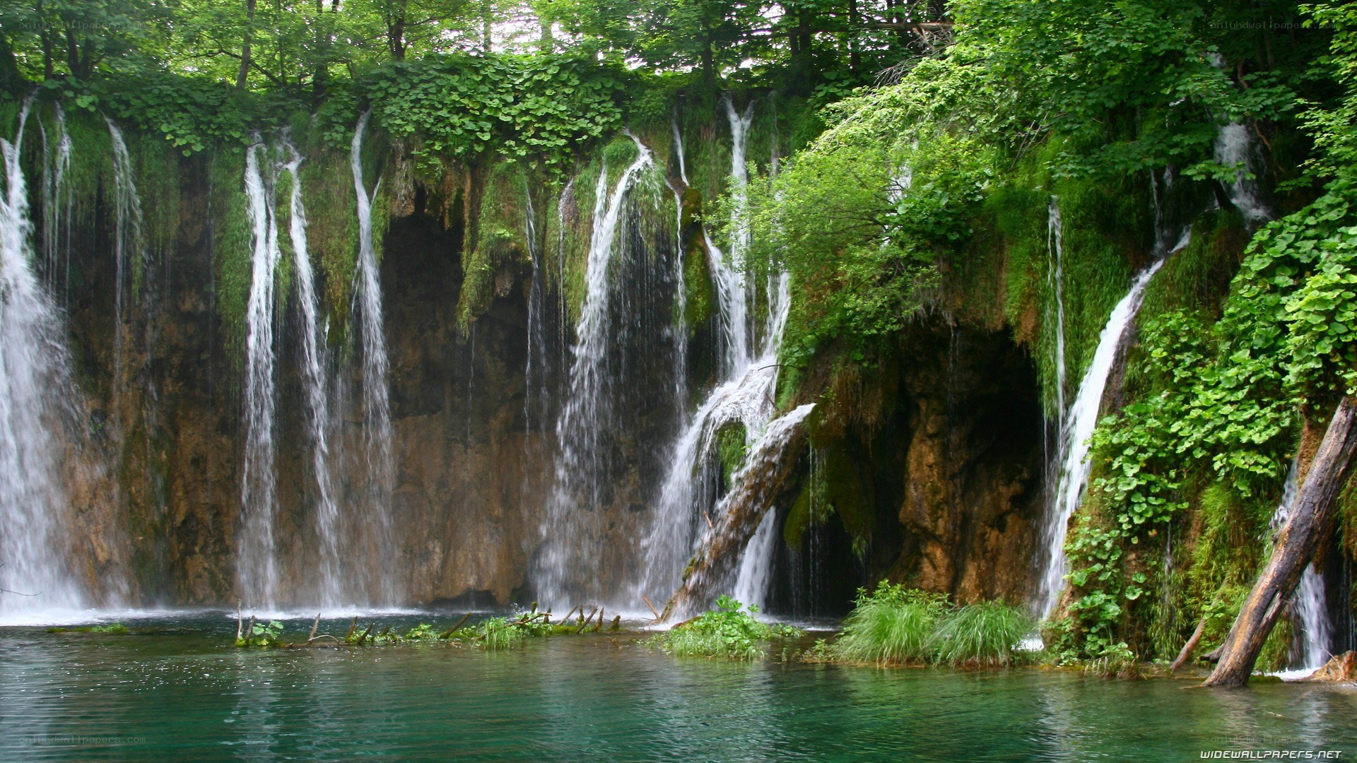 Waterfalls in a lush forest
