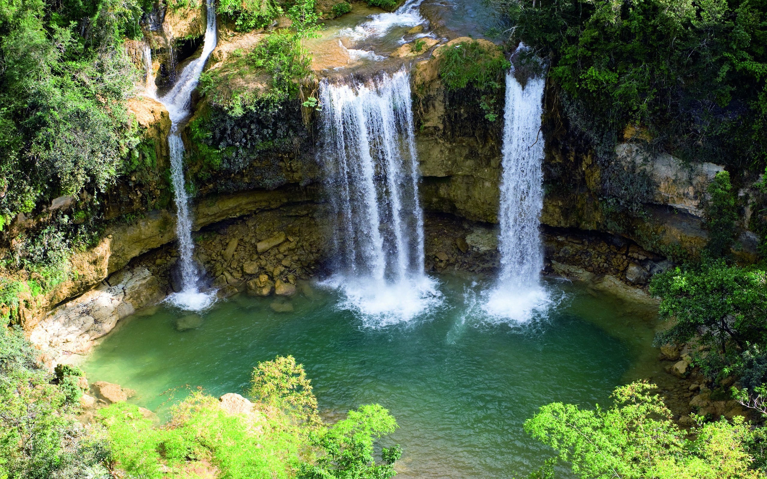 Waterfalls in a lush forest
