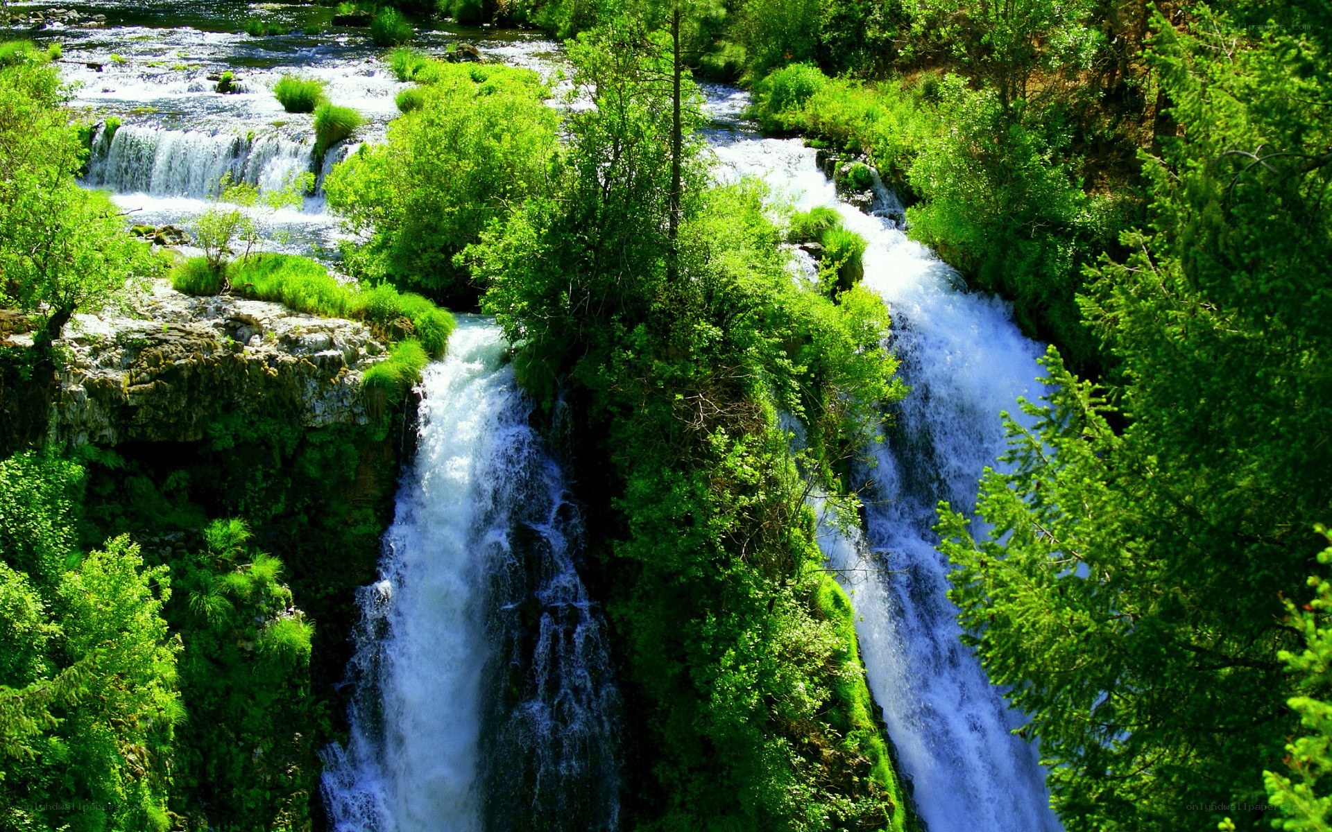 Waterfalls in a lush forest