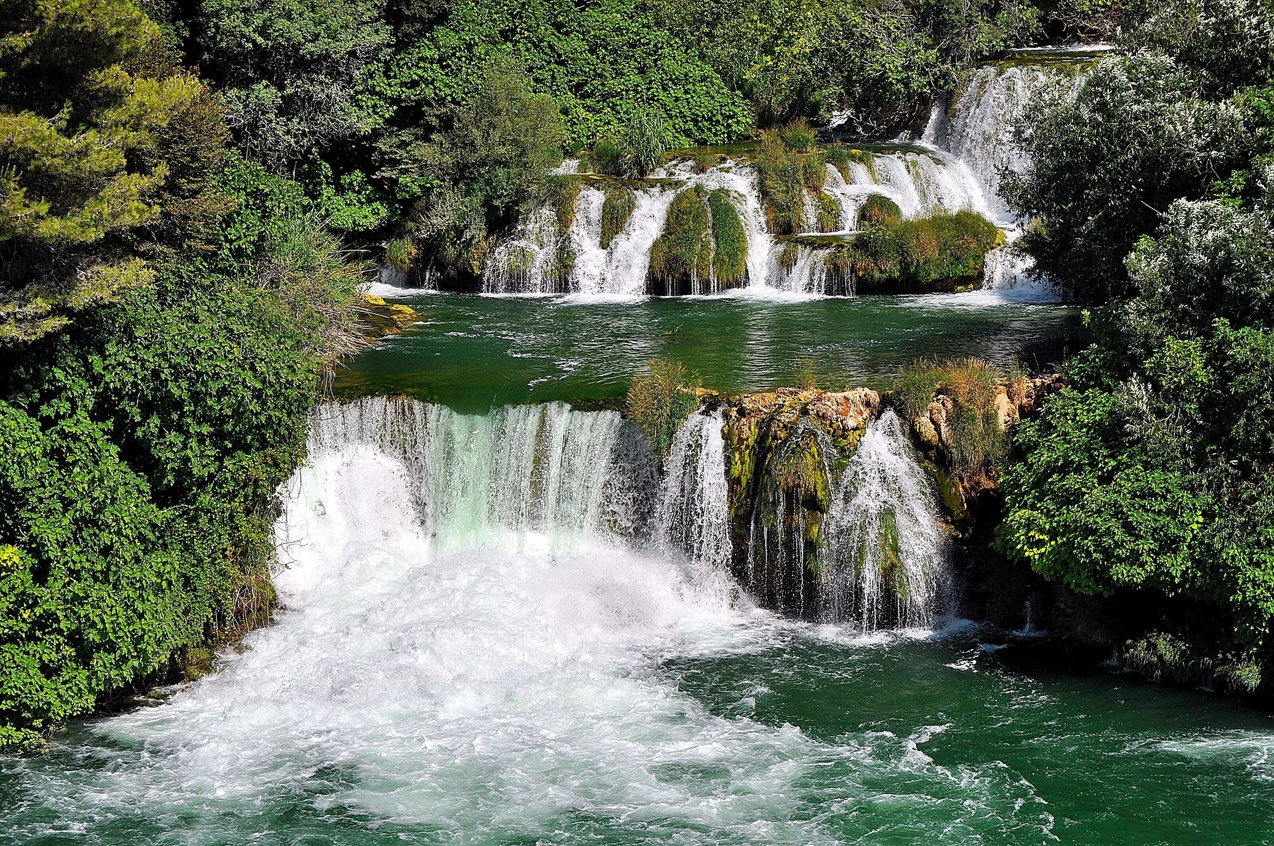 Waterfalls in a lush forest