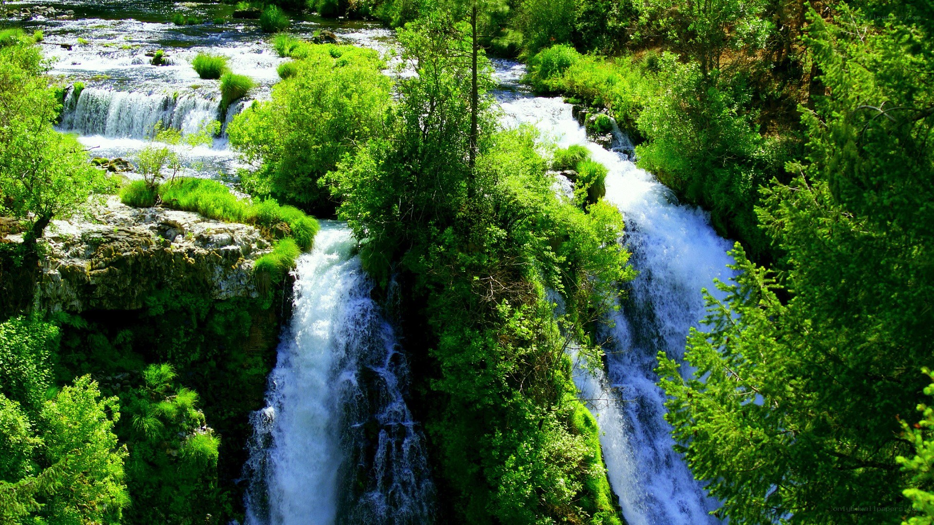 Waterfalls in a lush forest