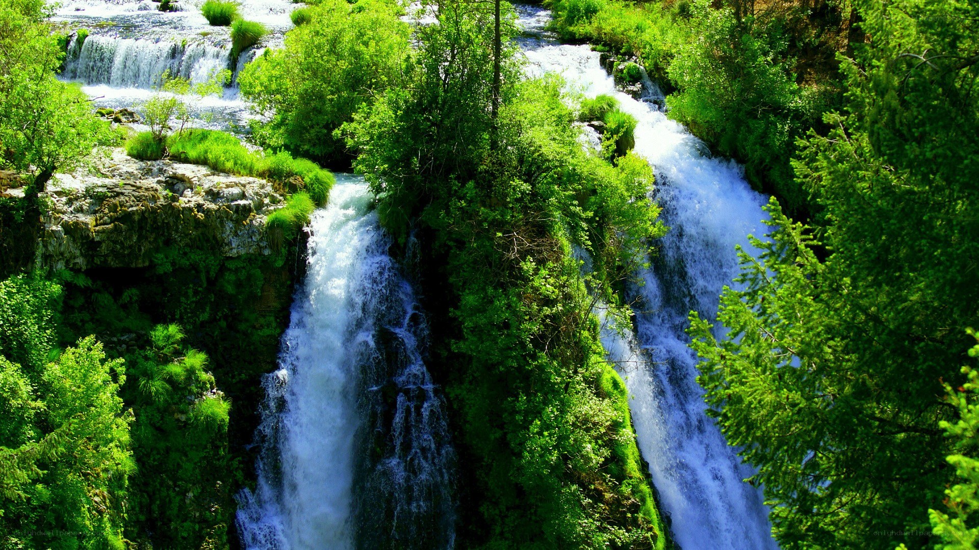 Waterfalls in a lush forest