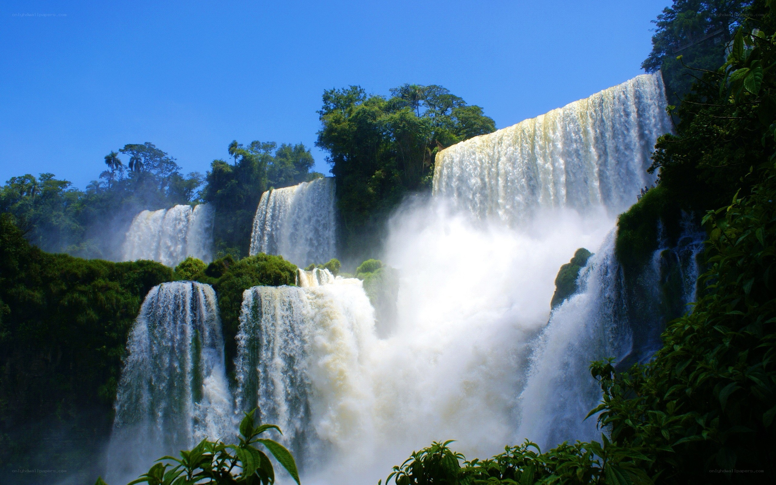 Waterfalls in a lush forest