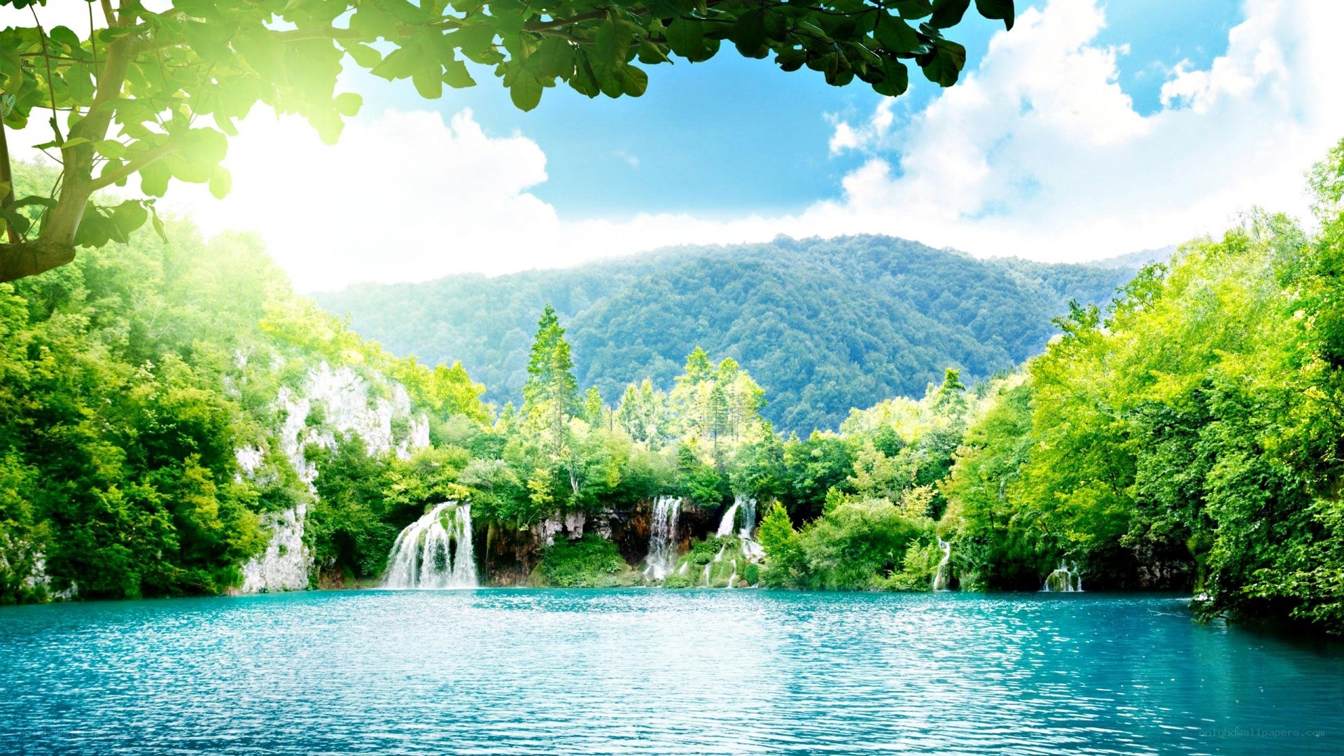Waterfalls in a lush forest