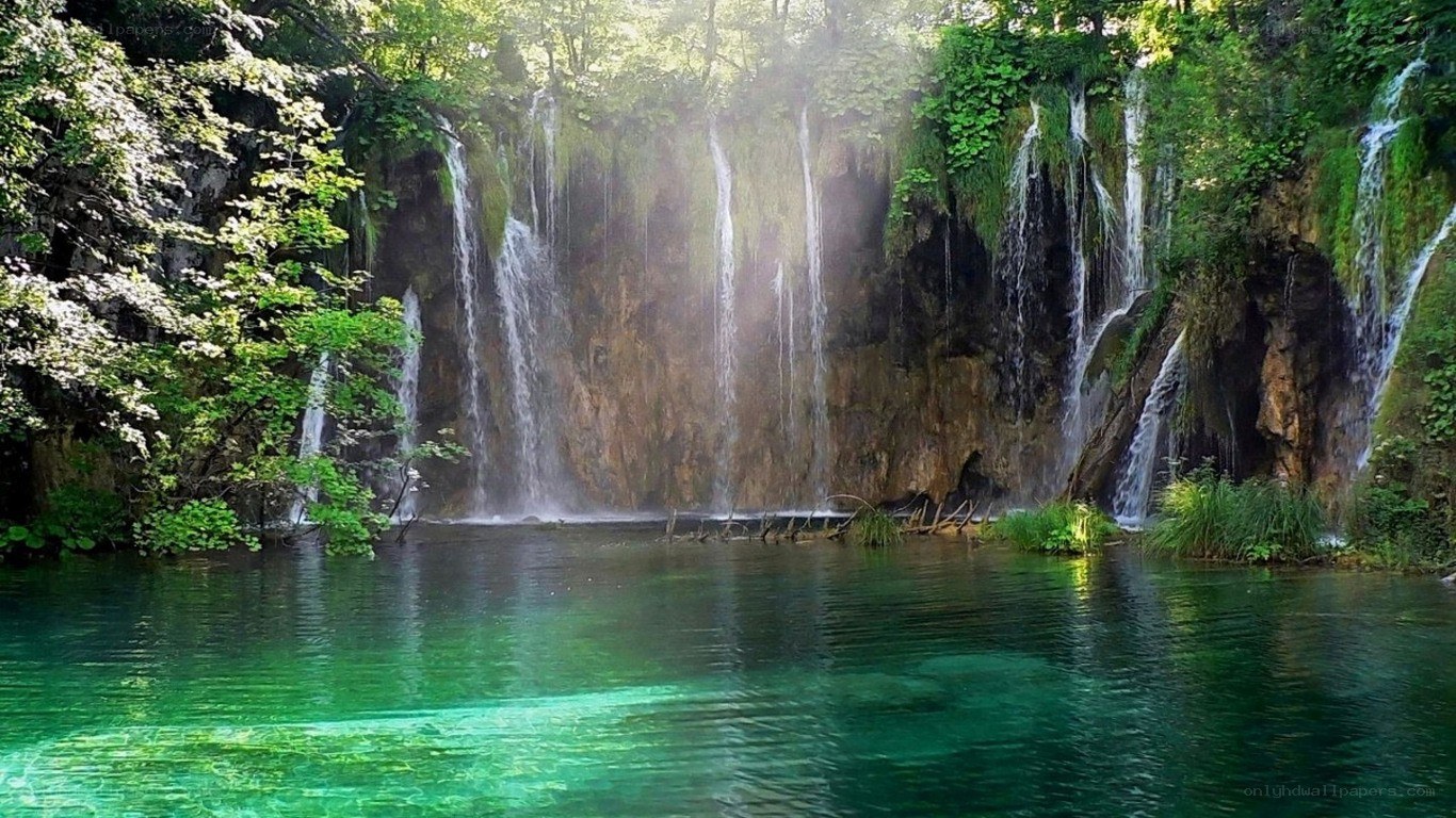 Waterfalls in a lush forest