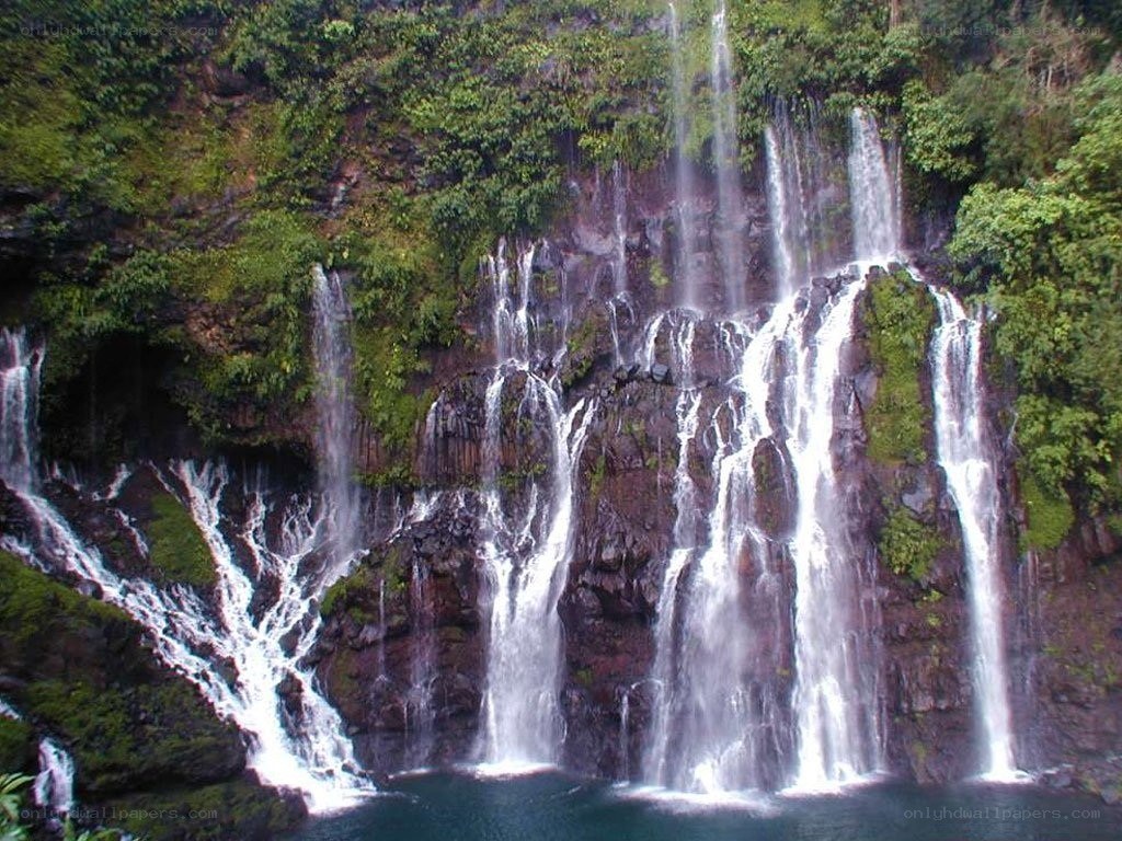 Waterfalls in a lush forest