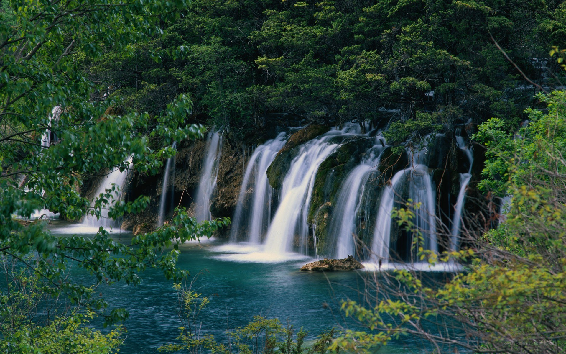 Waterfalls in a lush forest