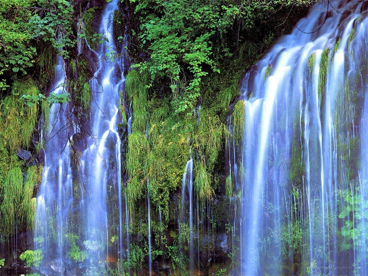Waterfalls in a lush forest