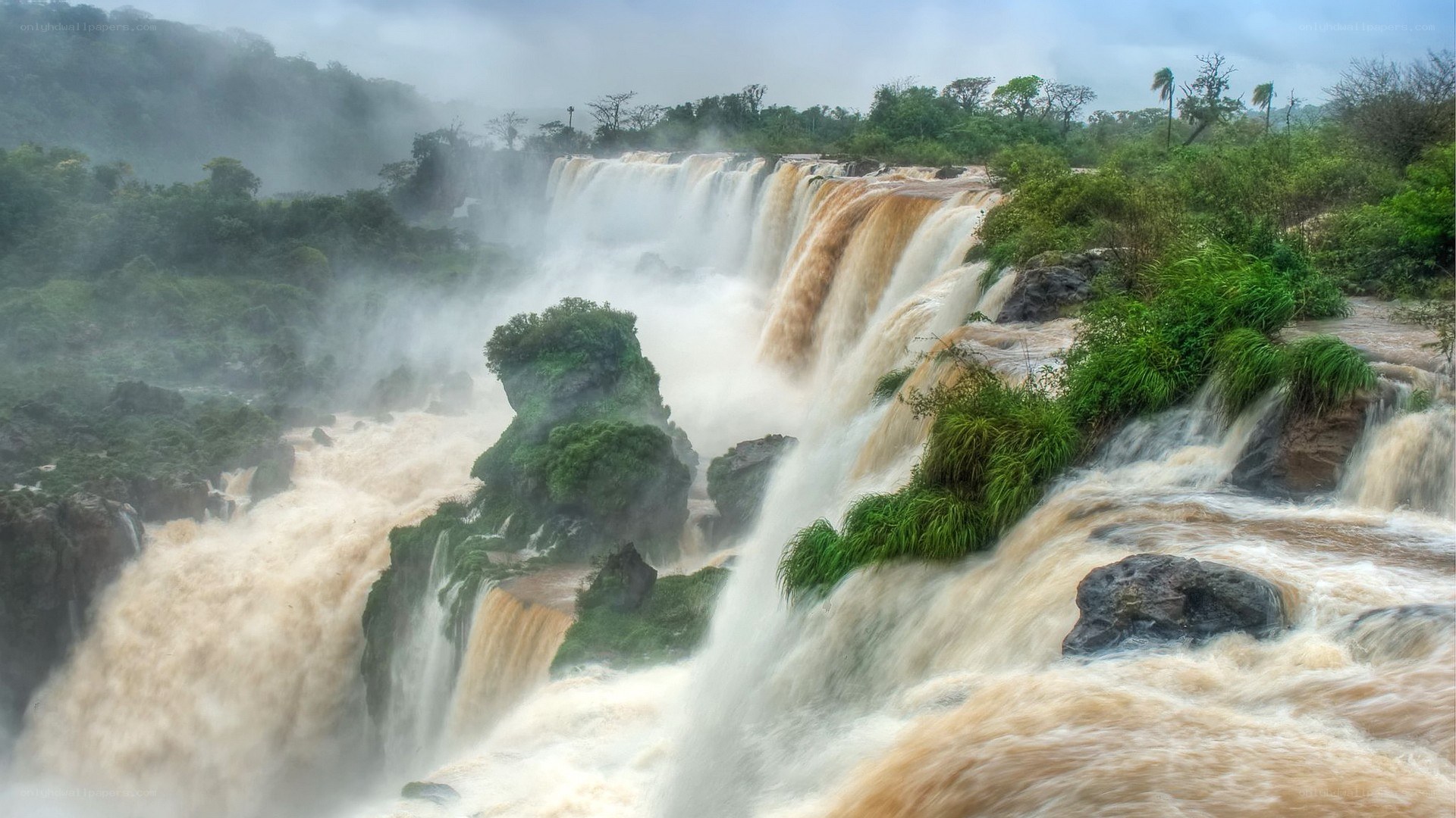 Waterfalls in a lush forest