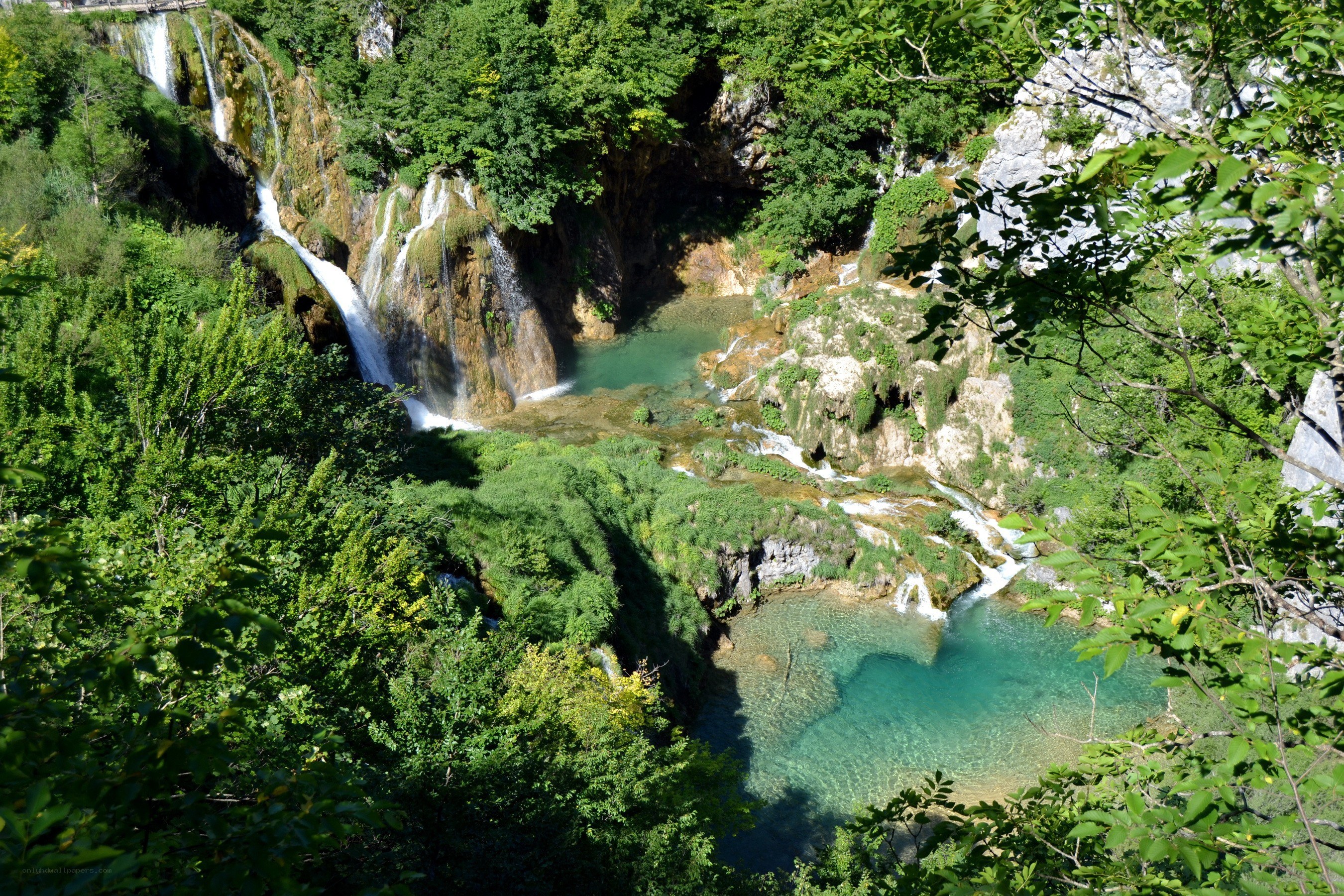 Waterfalls in a lush forest
