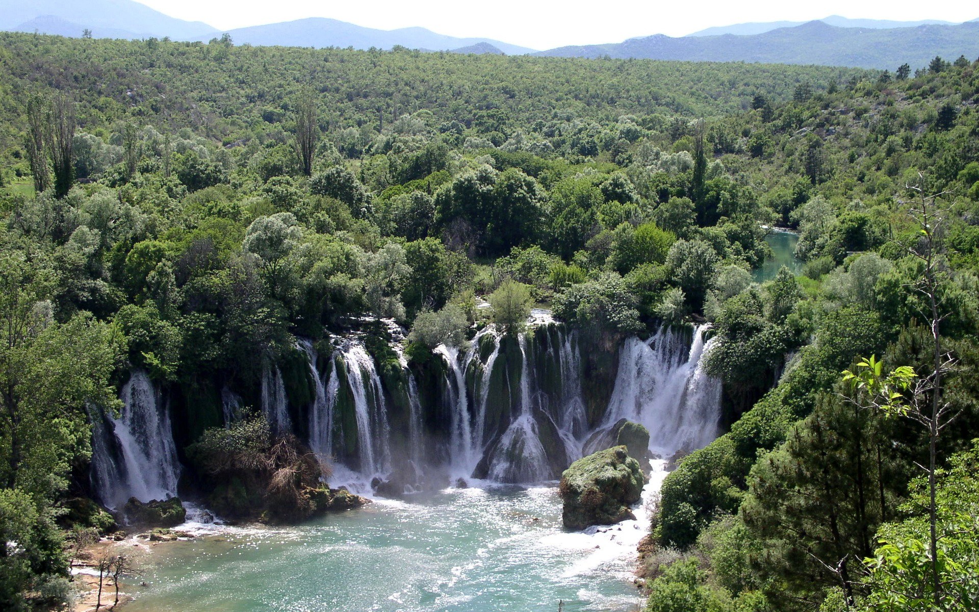 Waterfalls in a lush forest