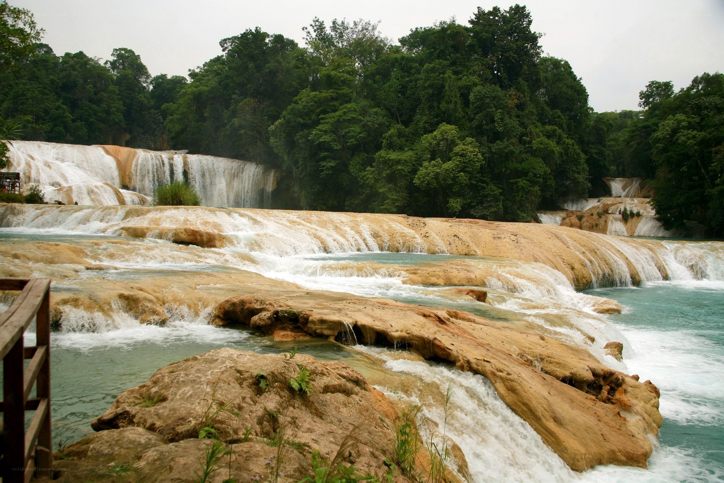 Waterfalls in a lush forest