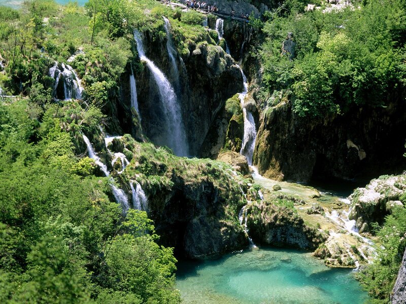 Waterfalls in a lush forest