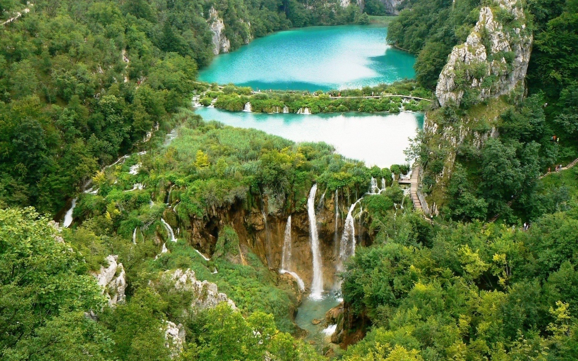 Waterfalls in a lush forest