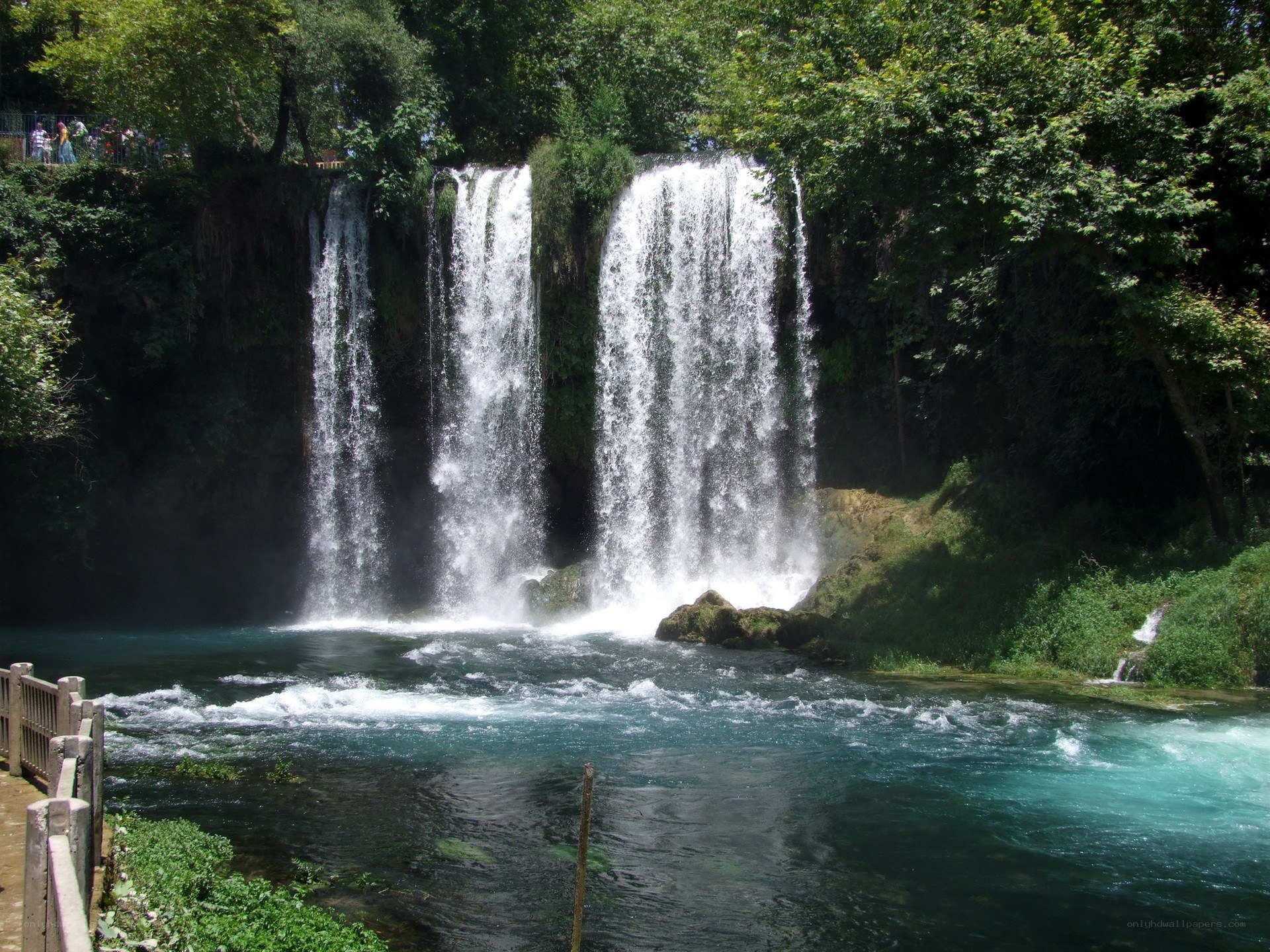 Waterfalls in a lush forest