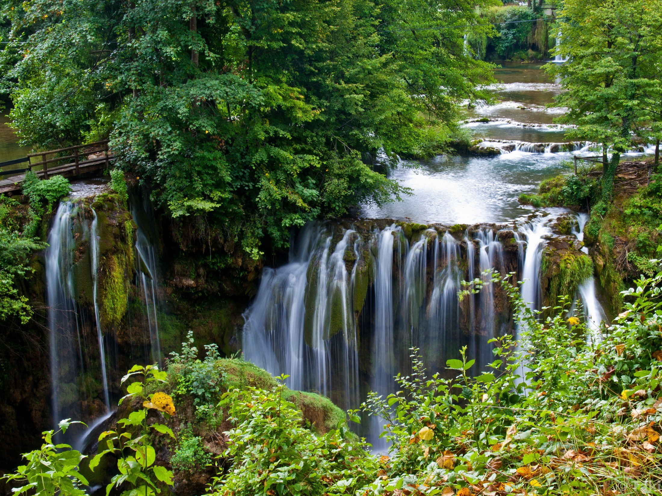 Waterfalls in a lush forest