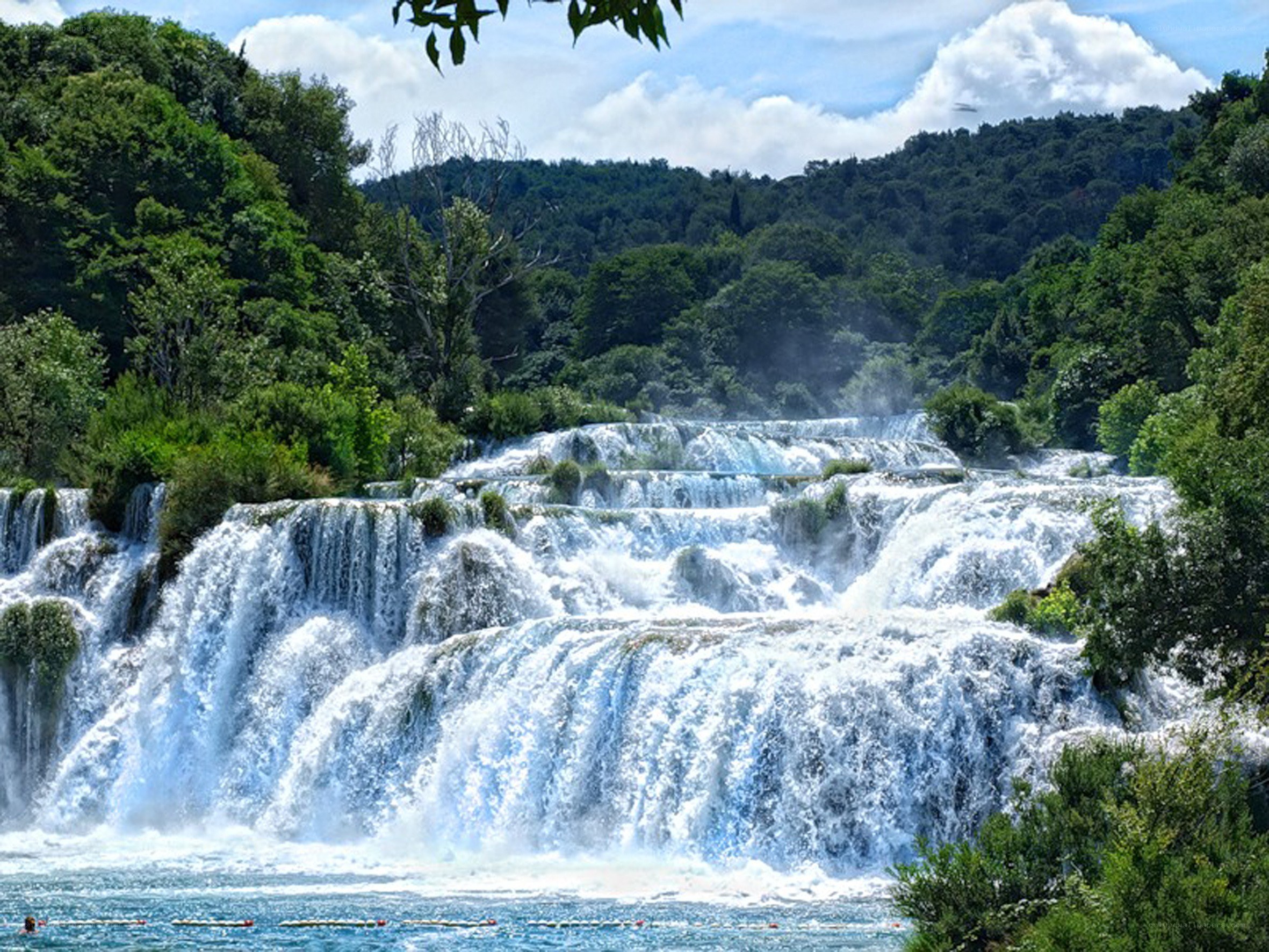 Waterfalls in a lush forest