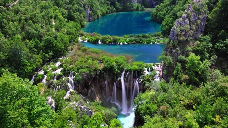 Waterfalls in a lush forest