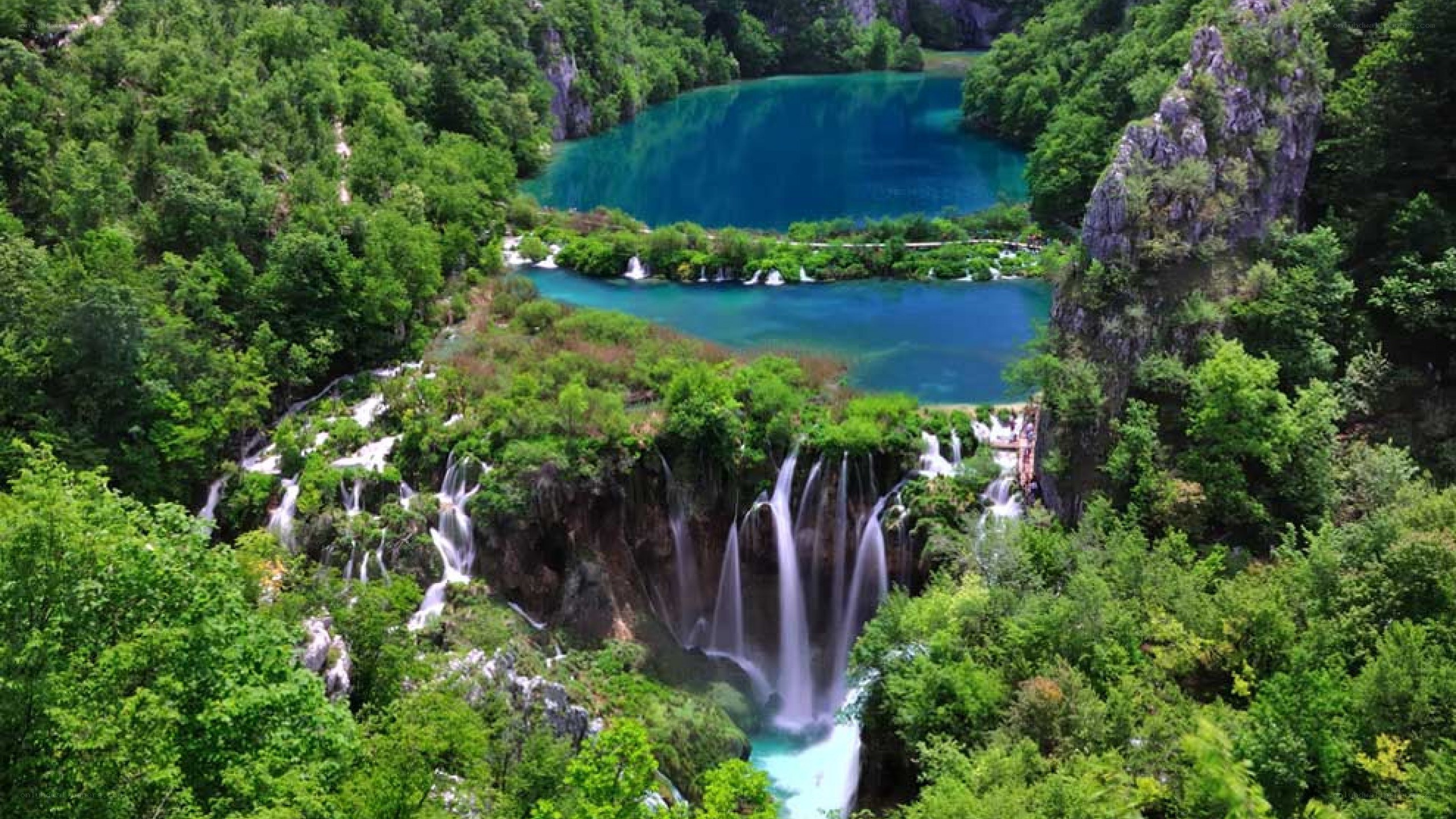 Waterfalls in a lush forest