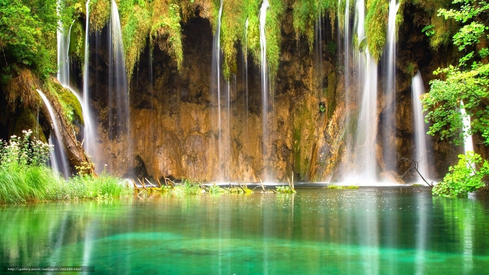 Waterfalls in a lush forest