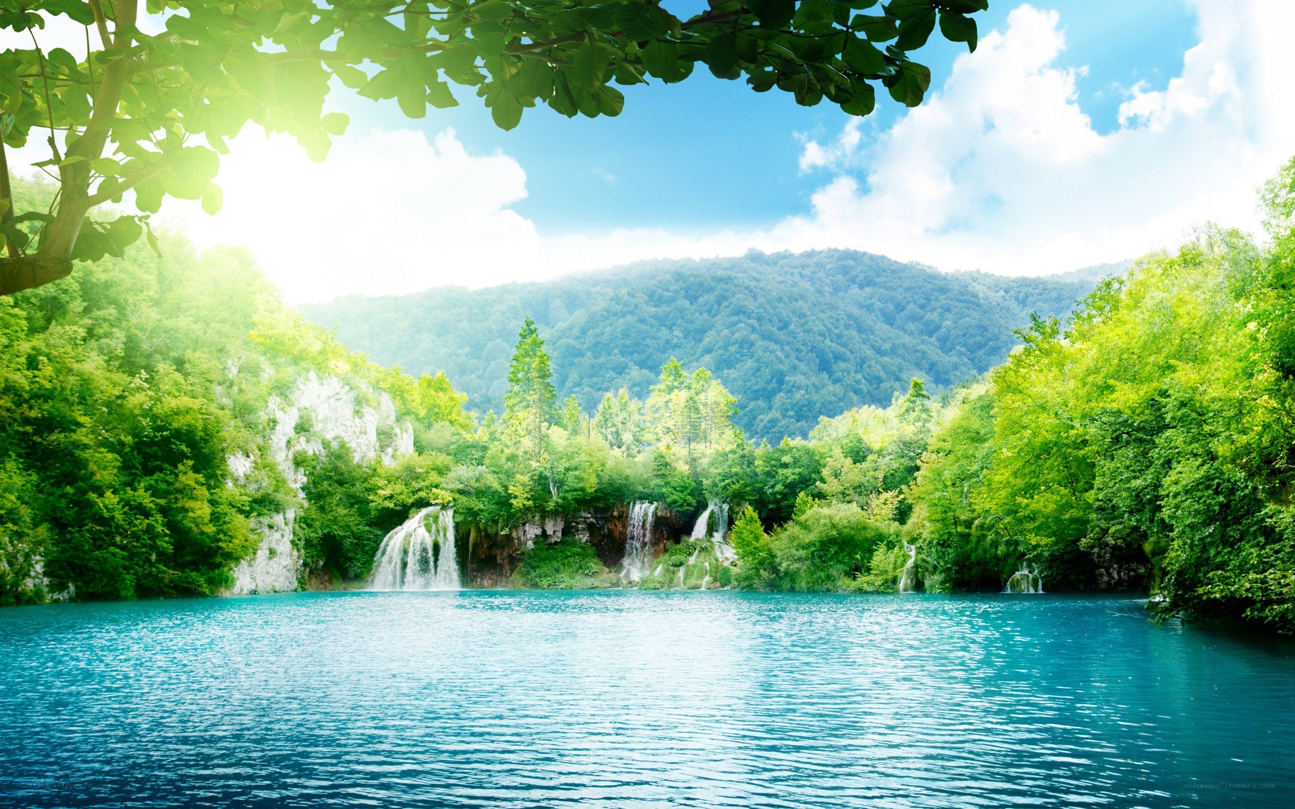 Waterfalls in a lush forest