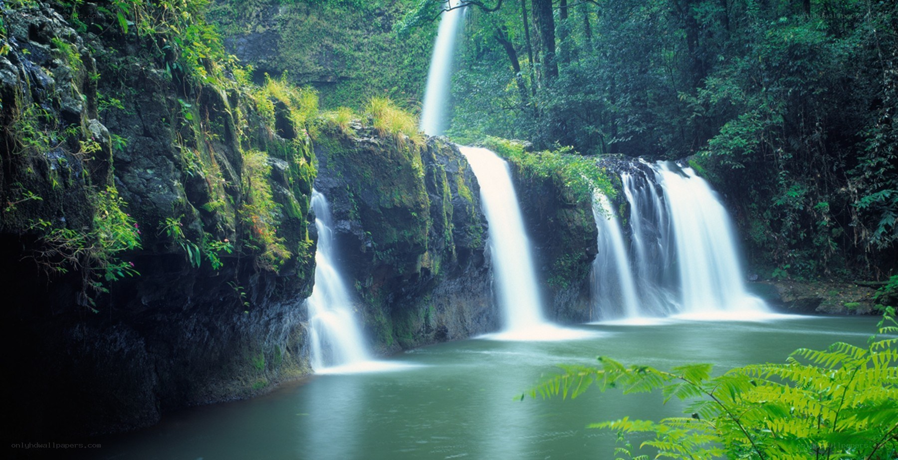 Waterfalls in a lush forest