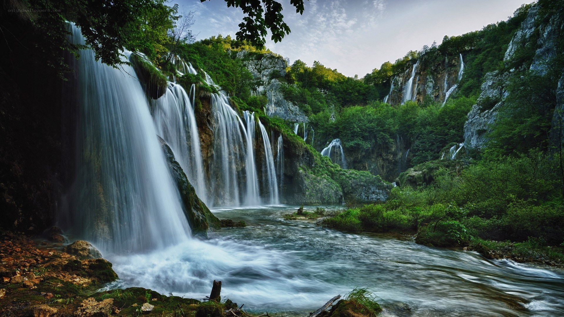 Waterfalls in a lush forest