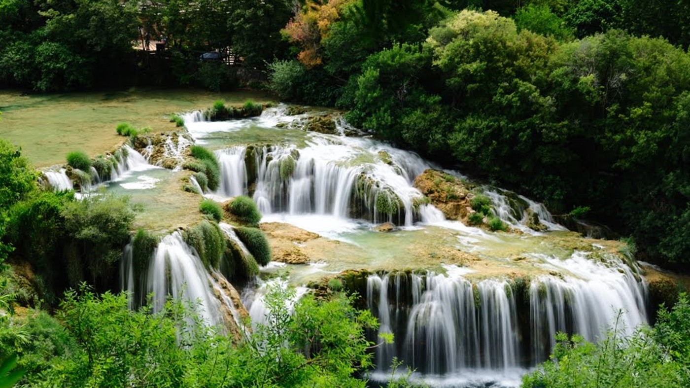 Waterfalls in a lush forest
