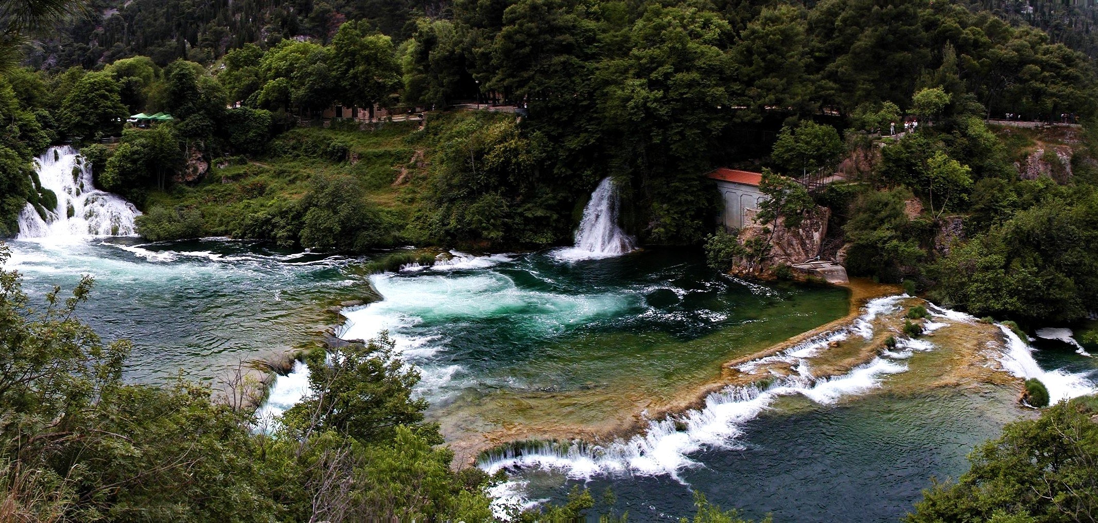 Waterfalls in a lush forest