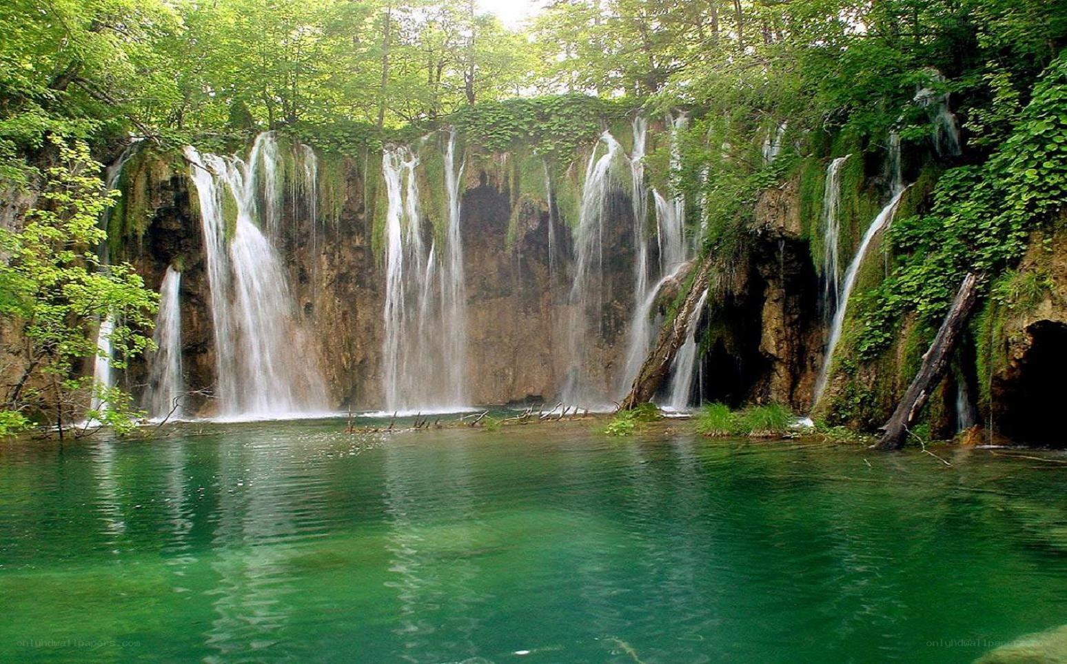 Waterfalls in a lush forest