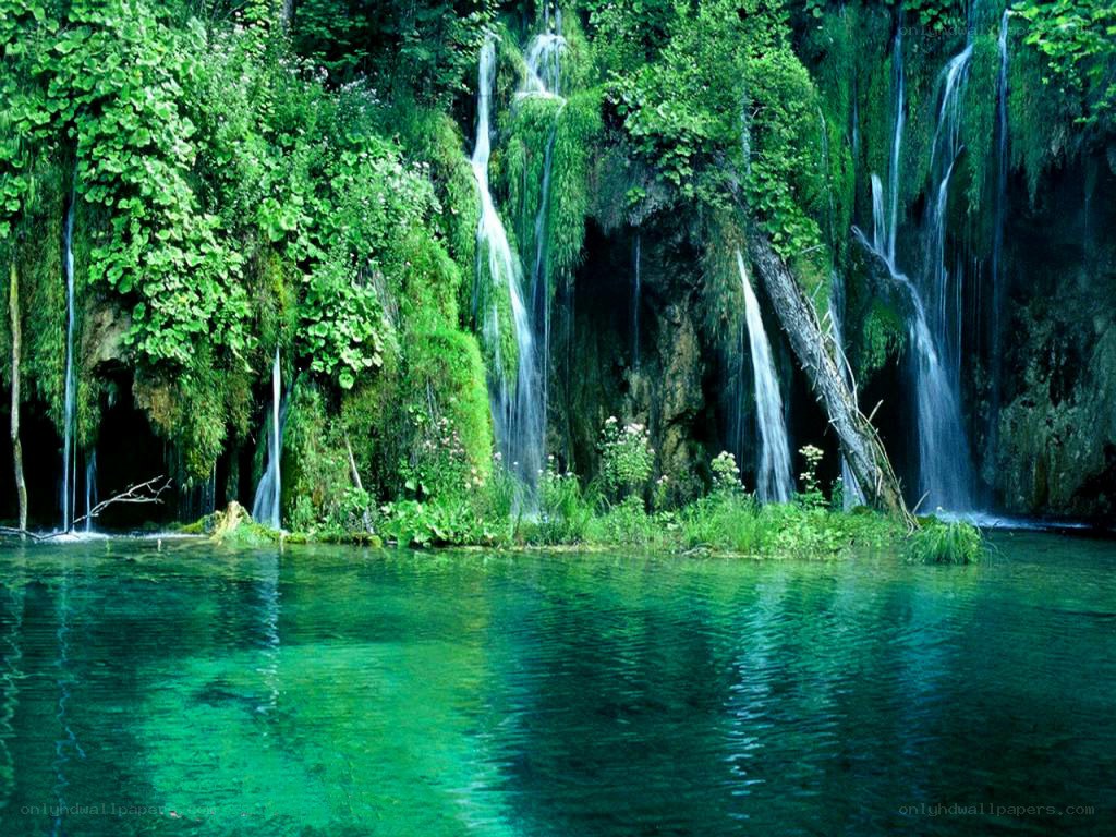Waterfalls in a lush forest