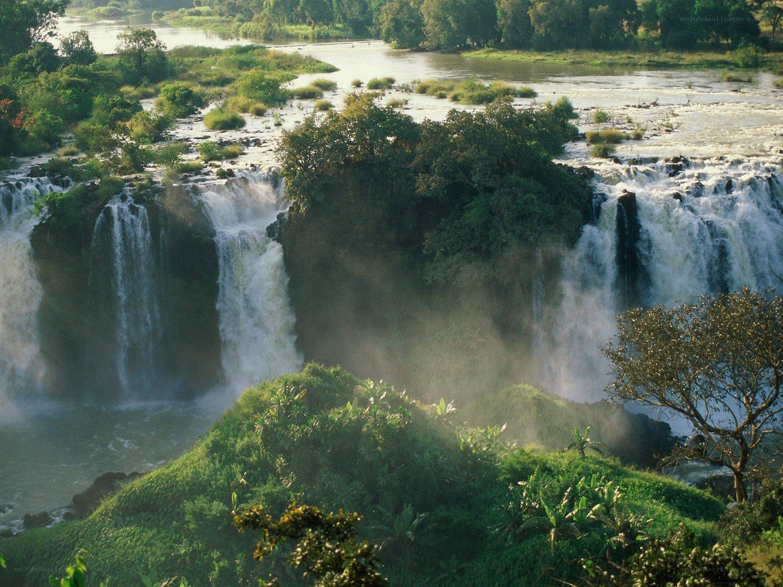 Waterfalls in a lush forest