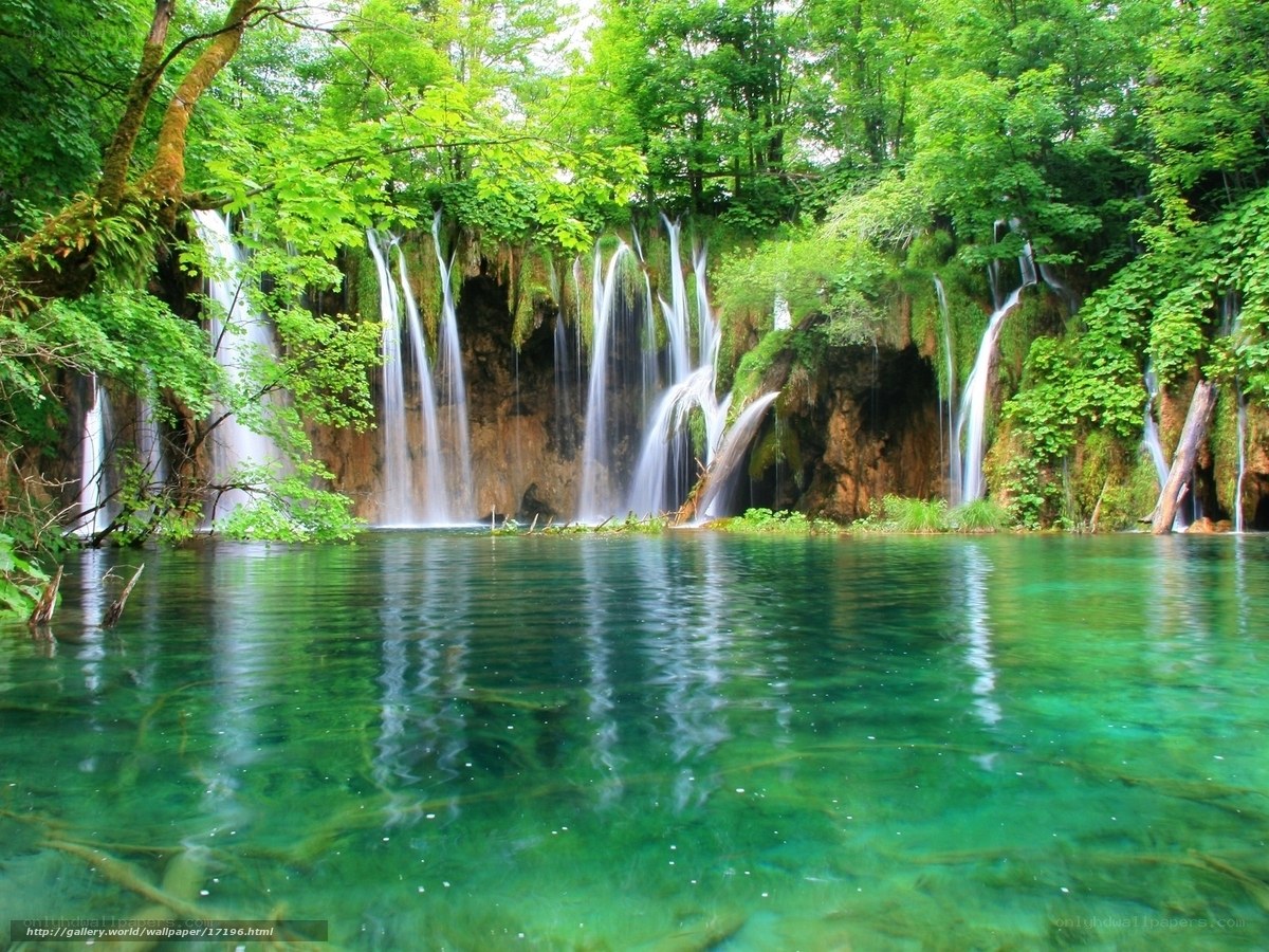 Waterfalls in a lush forest