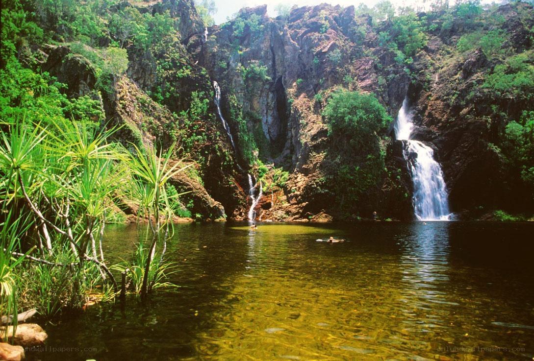 Waterfalls in a lush gorge