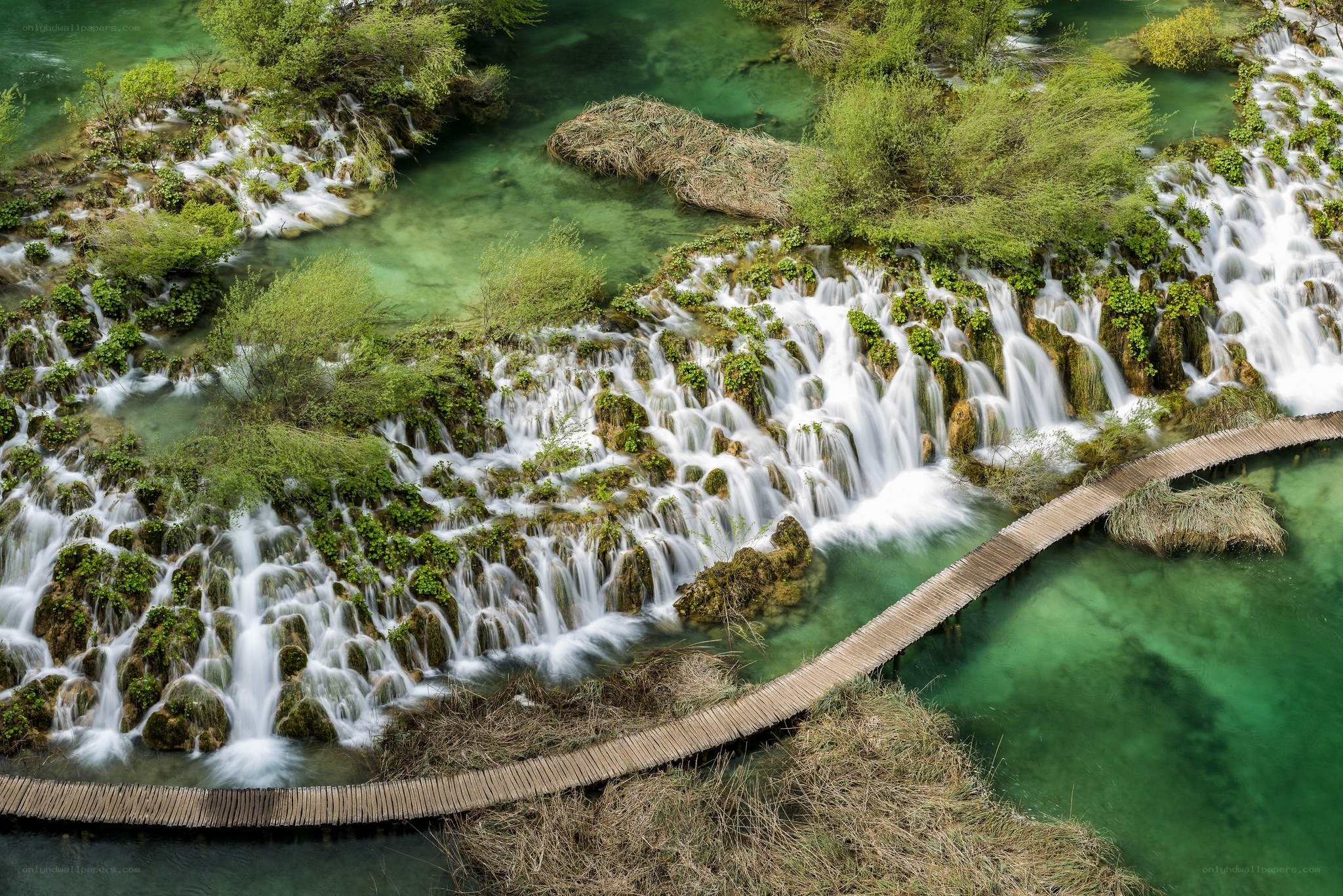 Waterfalls in a lush green landscape