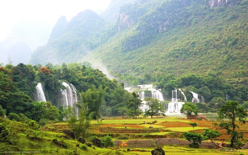 Waterfalls in a lush valley