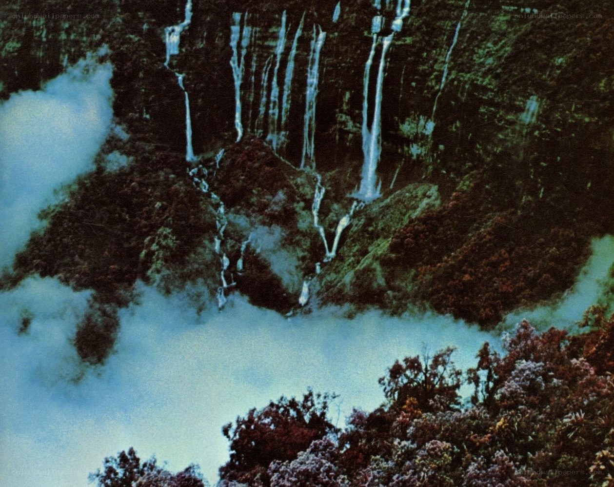 Waterfalls in a misty forest