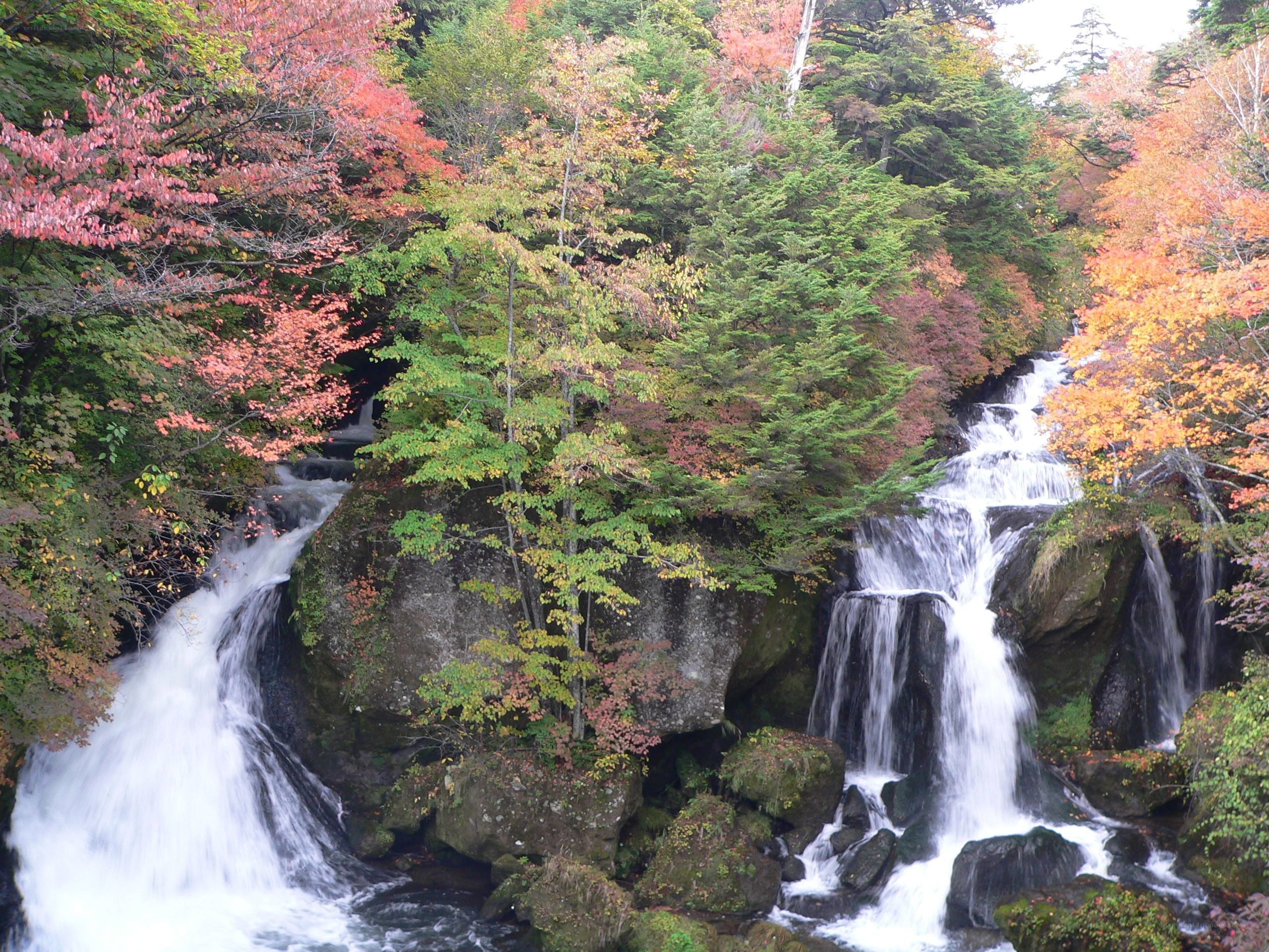 Waterfalls in autumn forest