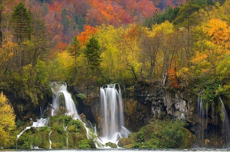 Waterfalls in Autumn Forest — Green, Serene