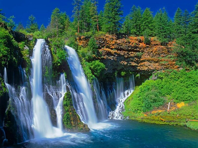 Waterfalls in Forest — Blue, Serene