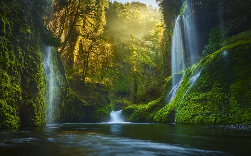Waterfalls in Forest Canyon — Green