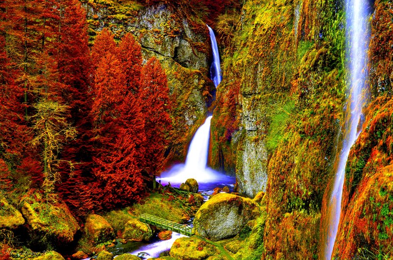 Waterfalls in Forest Canyon — Red