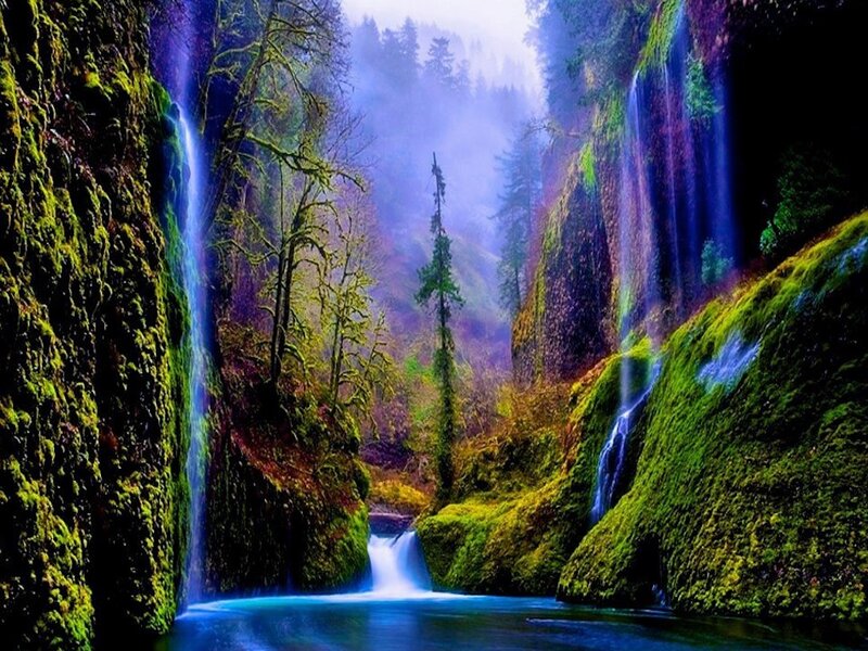 Waterfalls in Forest Canyon