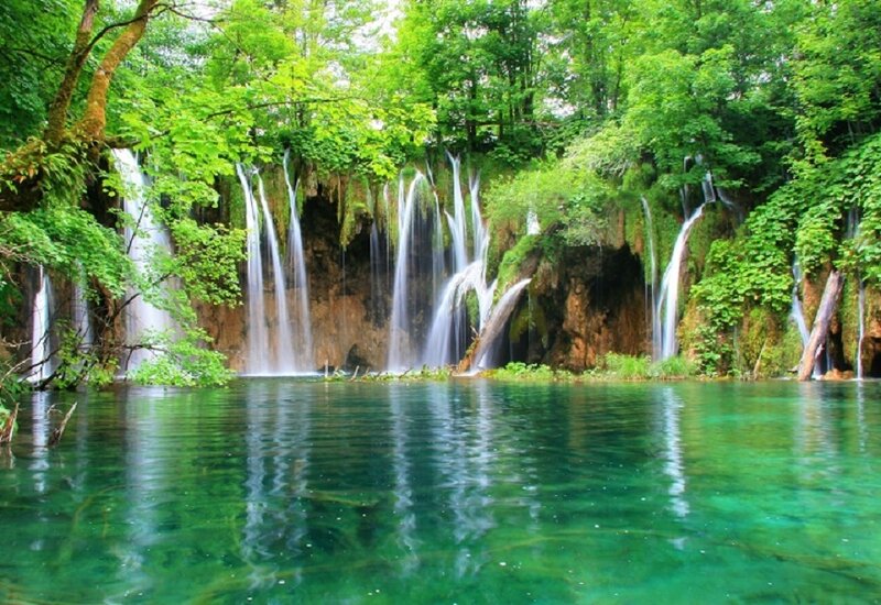 Waterfalls in Forest — Green, Brown