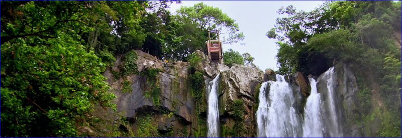 Waterfalls in Forest — Green, Natural, Afternoon