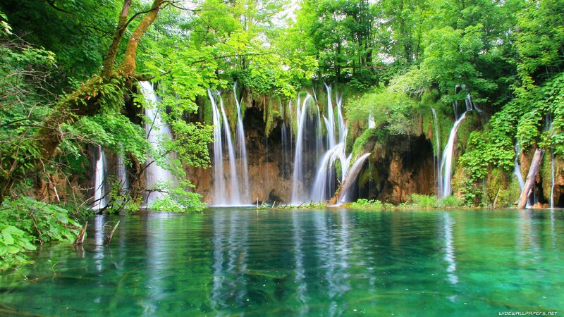 Waterfalls in Forest — Green, Rock