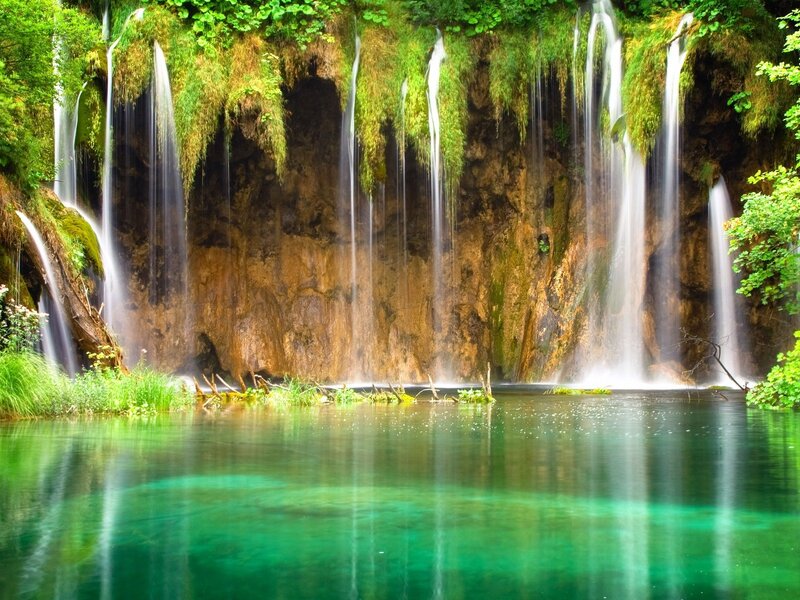 Waterfalls in Forest — Green, Serene, Afternoon, Photograph, River, Moss, Brown