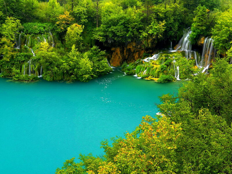 Waterfalls in Forest — Green, Serene, Afternoon, Photograph, Trees, Lake, Rock